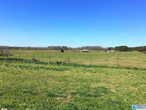 1135 Co Rd 434, Five Points, AL 36855 photo 15