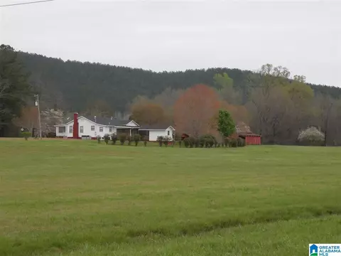 734 Branch Rd, Alpine, AL 35014 photo 2