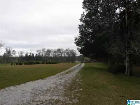 734 Branch Rd, Alpine, AL 35014 photo 3
