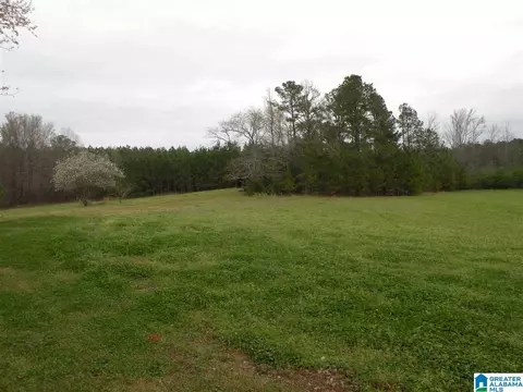 734 Branch Rd, Alpine, AL 35014 photo 31