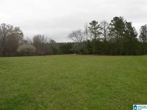 734 Branch Rd, Alpine, AL 35014 photo 33
