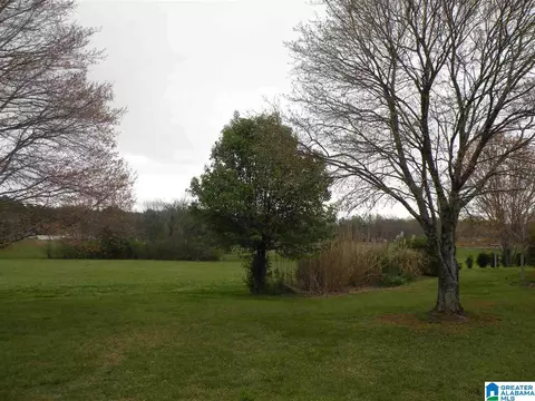 734 Branch Rd, Alpine, AL 35014 photo 30
