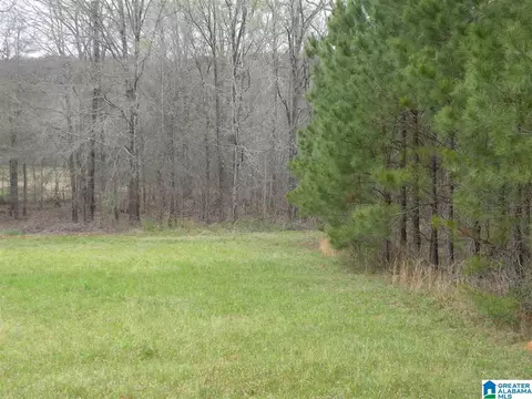 734 Branch Rd, Alpine, AL 35014 photo 29