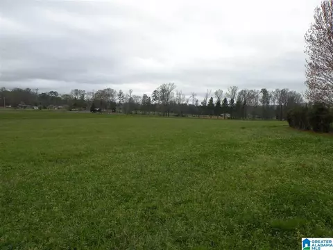 734 Branch Rd, Alpine, AL 35014 photo 32