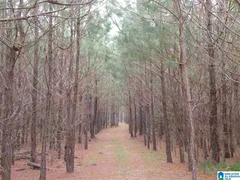 734 Branch Rd, Alpine, AL 35014 photo 27