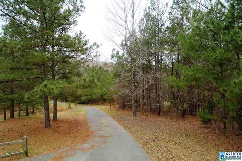5308 Split Rail Dr, Jasper, AL 35503 photo 23