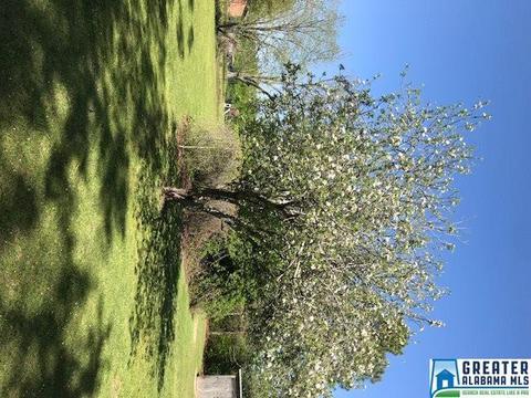 228 Randall Cir, Clanton, AL 35045 photo 24