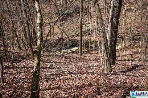 445 Myrick Rd, Warrior, AL 35180 photo 48