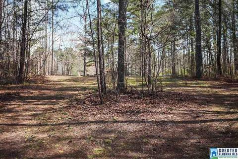 445 Myrick Rd, Warrior, AL 35180 photo 49
