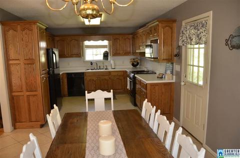 240 Lakeshore Cir, Oneonta, AL 35121 photo 11