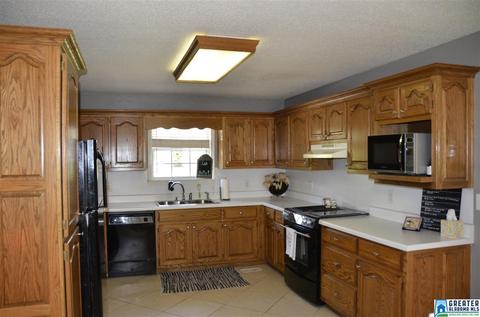 240 Lakeshore Cir, Oneonta, AL 35121 photo 13