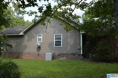 240 Lakeshore Cir, Oneonta, AL 35121 photo 8