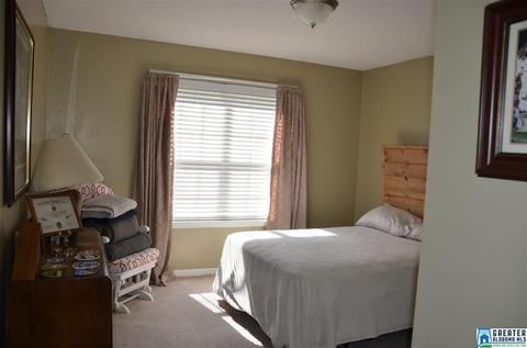 240 Lakeshore Cir, Oneonta, AL 35121 photo 29