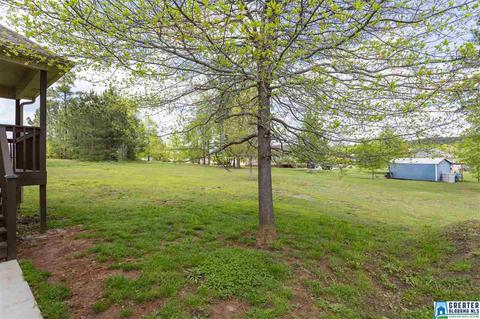 61 Batton Rd, Warrior, AL 35180 photo 5