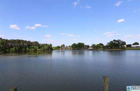 263 Cove Point Dr, Riverside, AL 35135 photo 27