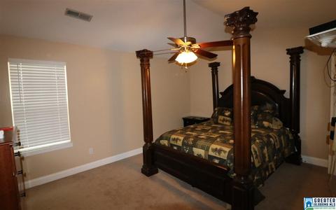 263 Cove Point Dr, Riverside, AL 35135 photo 10