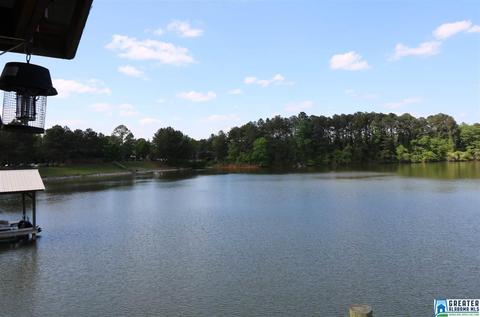 263 Cove Point Dr, Riverside, AL 35135 photo 29