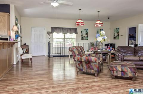 331 Merrill Rd, Vincent, AL 35178 photo 13