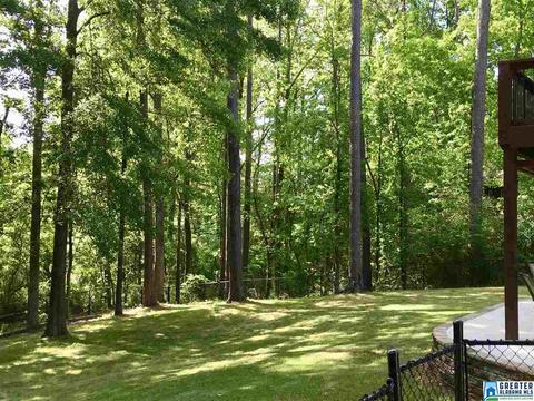 8419 Warwick Dr, Morris, AL 35116 photo 5