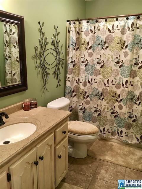 8419 Warwick Dr, Morris, AL 35116 photo 41