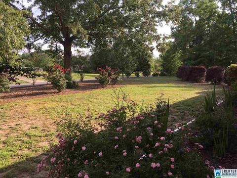 331 Trafford Rd, Warrior, AL 35180 photo 4