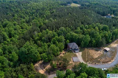508 Deer Ridge Run, Jasper, AL 35503 photo 32