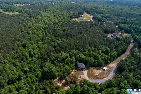 508 Deer Ridge Run, Jasper, AL 35503 photo 31