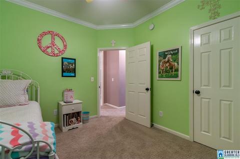 327 Sweet Leaf Dr, Maylene, AL 35114 photo 39
