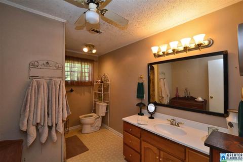 950 Butler Rd, Alabaster, AL 35007 photo 16