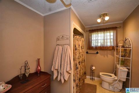 950 Butler Rd, Alabaster, AL 35007 photo 17