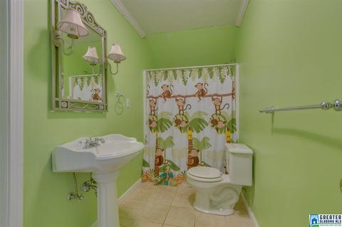 1100 County Road 37, Clanton, AL 35045 photo 36