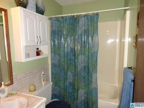 5249 Memory Ln, Mount Olive, AL 35117 photo 20