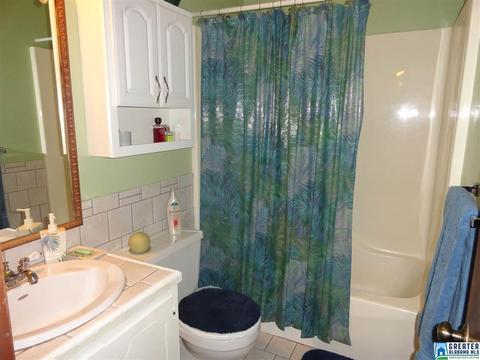 5249 Memory Ln, Mount Olive, AL 35117 photo 21