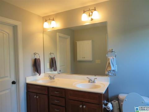 227 Falling Waters Way, Maylene, AL 35114 photo 26