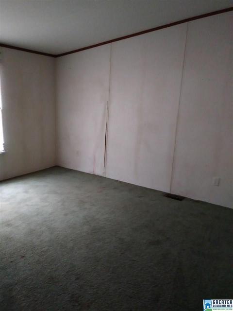 144 Pine Ln, Warrior, AL 35180 photo 16
