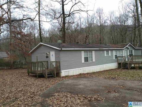 144 Pine Ln, Warrior, AL 35180 photo 1