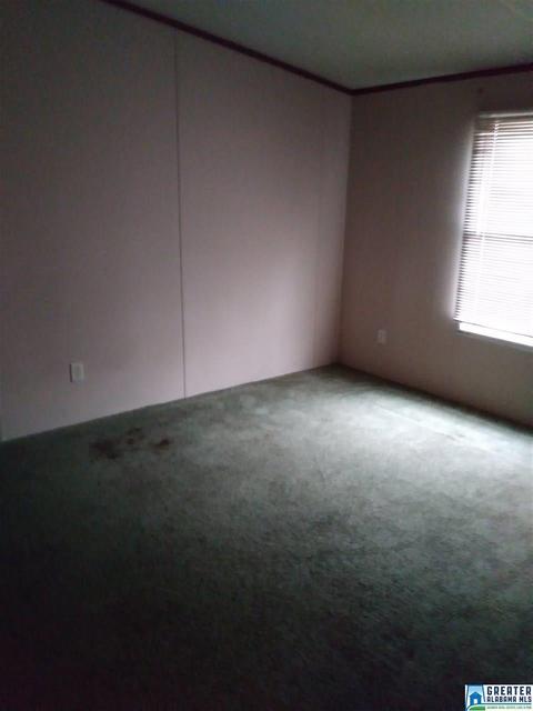 144 Pine Ln, Warrior, AL 35180 photo 15