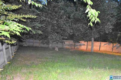 5255 Red Valley Rd, Remlap, AL 35133 photo 5