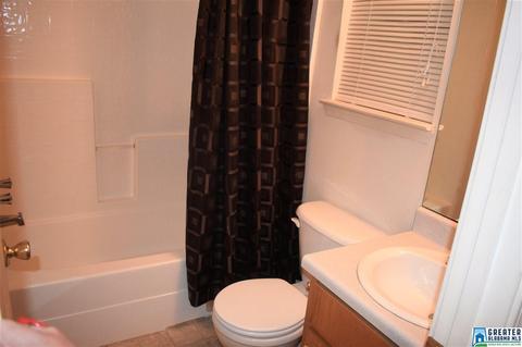 5255 Red Valley Rd, Remlap, AL 35133 photo 6