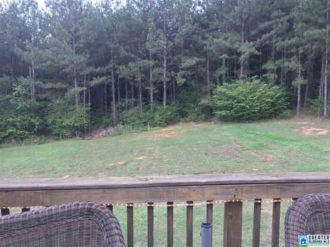 8884 Central Rd, Warrior, AL 35180 photo 36
