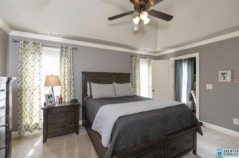 205 Falling Waters Way, Maylene, AL 35114 photo 15