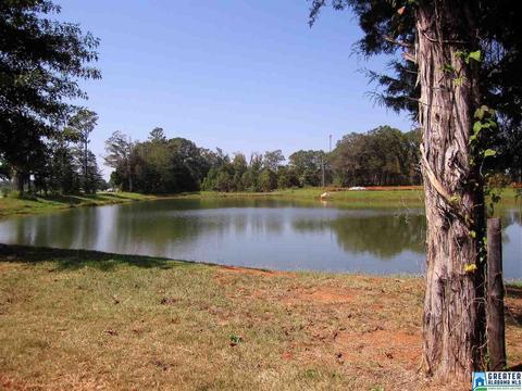 236 Leonards Ct, Montevallo, AL 35115 photo 18