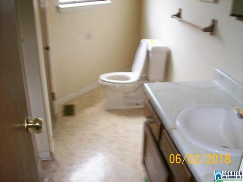 727 Spring Trl, Warrior, AL 35180 photo 6