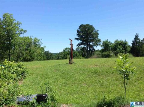 1945 Spring Rd, Ohatchee, AL 36271 photo 14