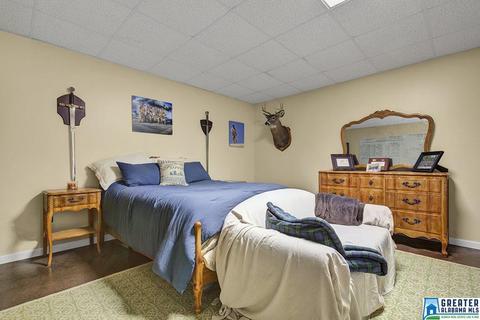 151 Outback Trl, Sterrett, AL 35147 photo 24