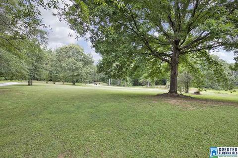 151 Outback Trl, Sterrett, AL 35147 photo 35