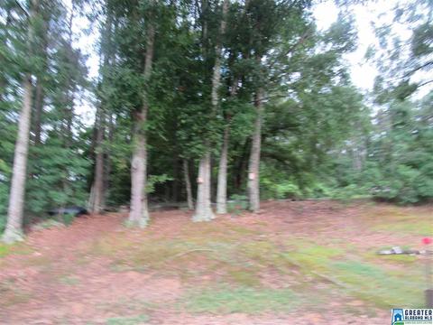 417 Ann Ave, Clanton, AL 35045 photo 8