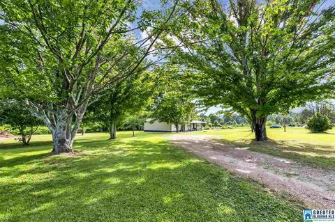 449 Rock Crusher Rd, Steele, AL 35987 photo 4