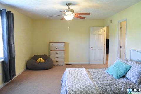151 Bailey Rd, Weaver, AL 36277 photo 20
