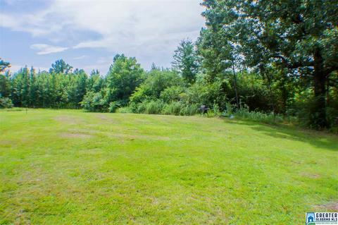 1683 Corner Rd, Warrior, AL 35180 photo 43
